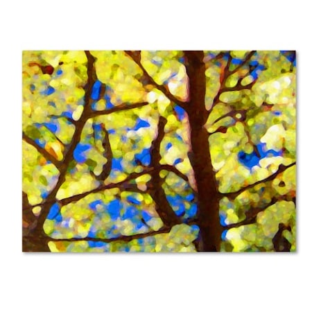 Spring Tree By Amy Vangsgard- Ready To Hang!,26x32